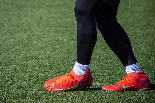 展示了小球 展示了小球