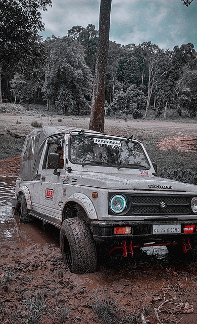 这一点在他 这一点在他