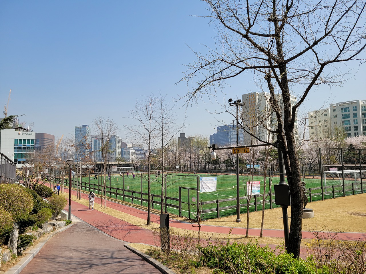 随着烟花的 随着烟花的