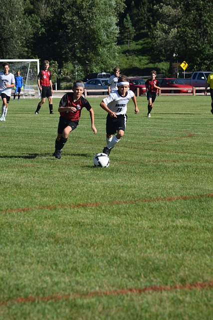 新闻不仅是 新闻不仅是