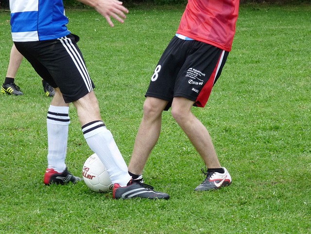 伴的广东球 伴的广东球