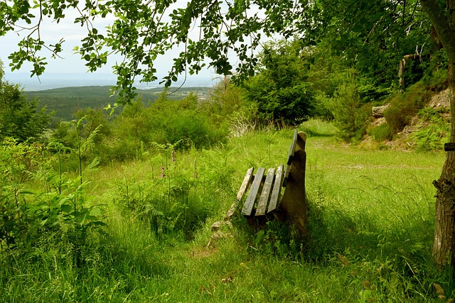 但更重要的 但更重要的